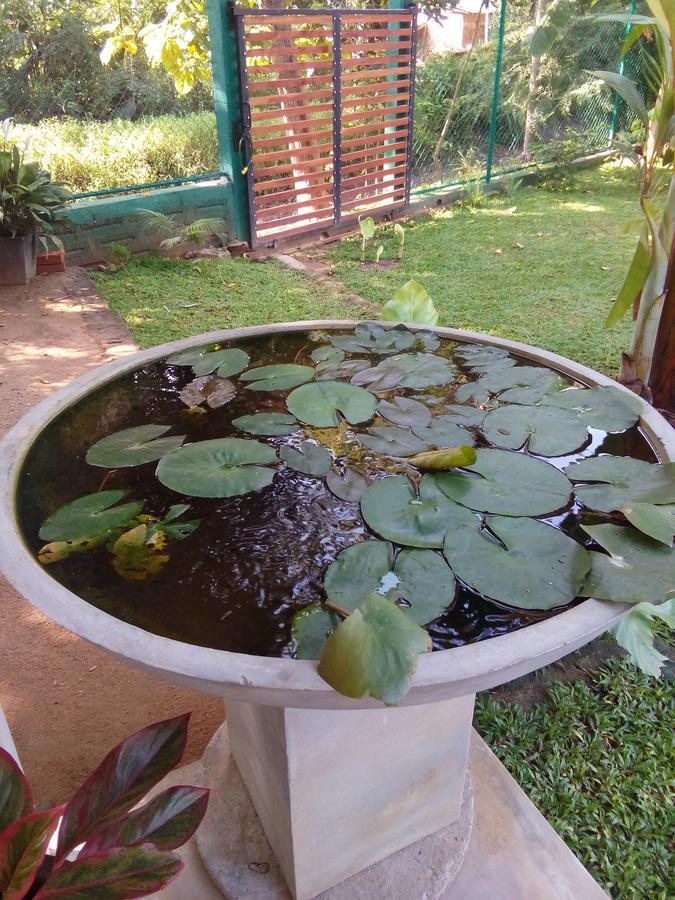 폴로나루와 Waterway Garden 빌라 외부 사진